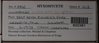 Image Associated With the Occurence